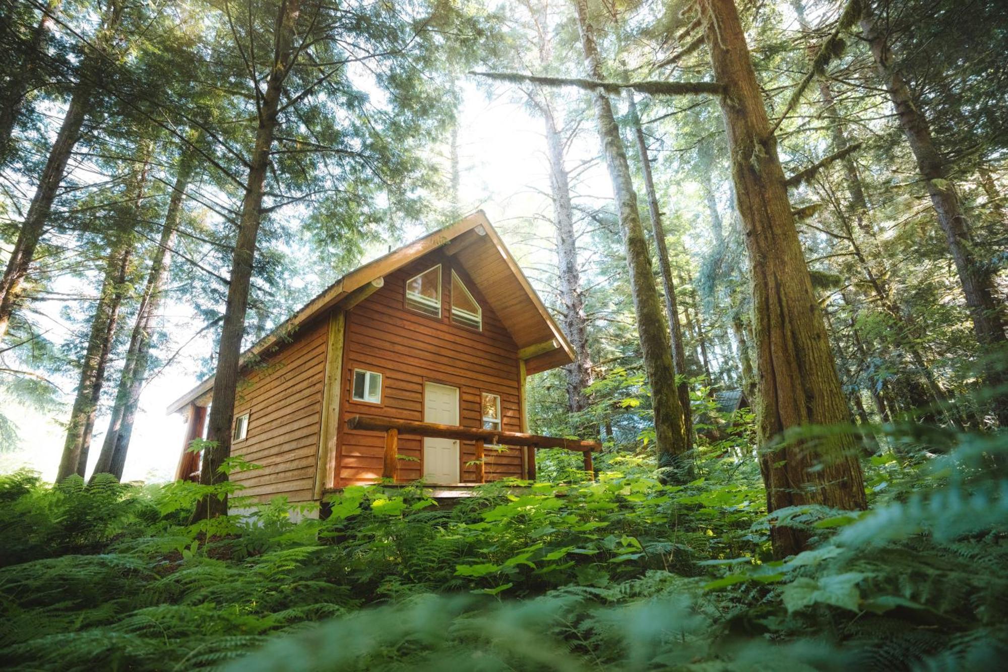 Bella Coola Grizzly Tours And Resort Hagensborg Екстериор снимка