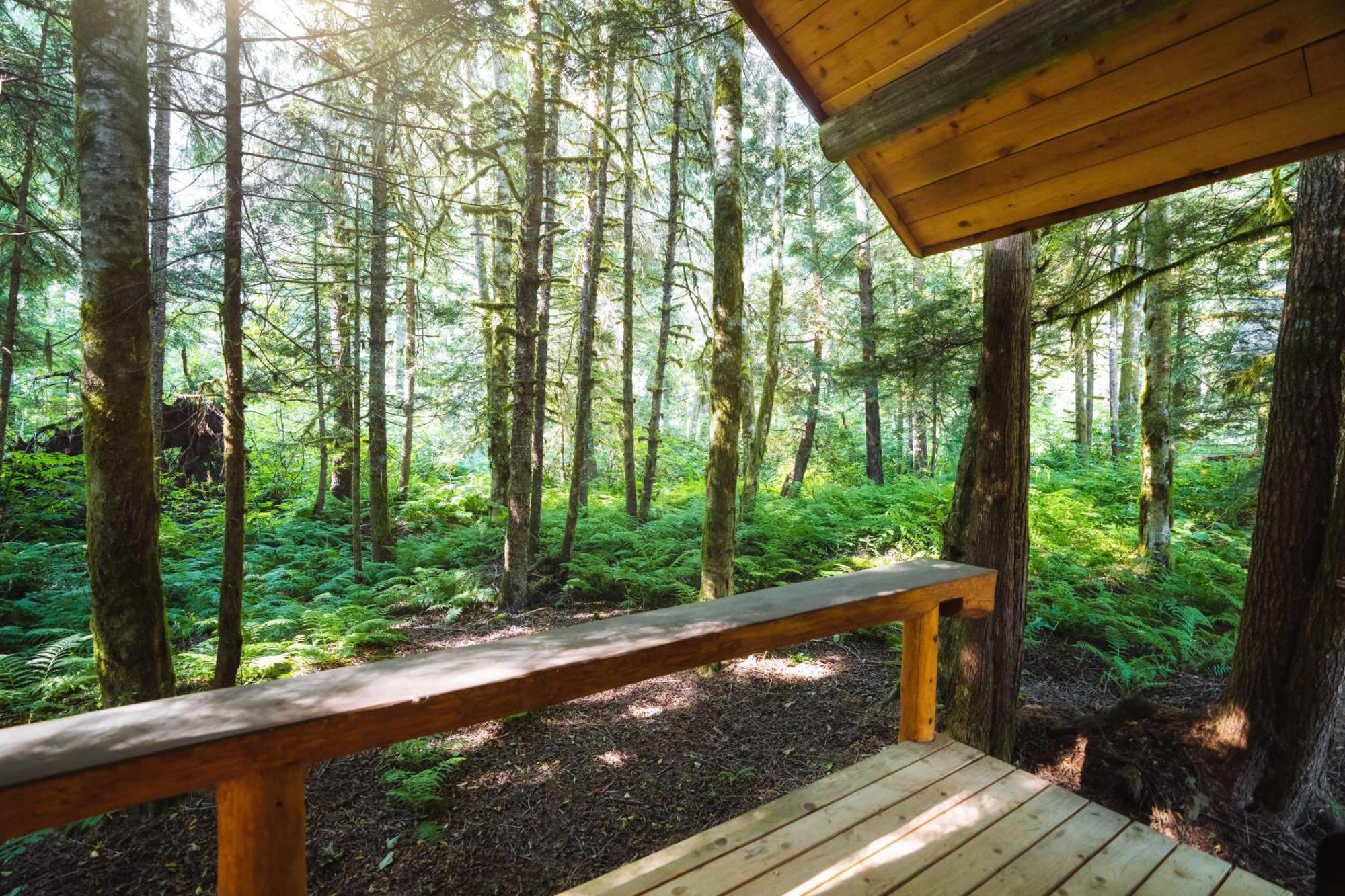 Bella Coola Grizzly Tours And Resort Hagensborg Екстериор снимка