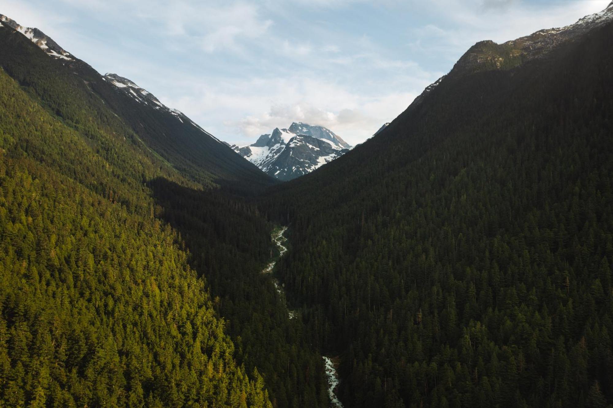 Bella Coola Grizzly Tours And Resort Hagensborg Екстериор снимка