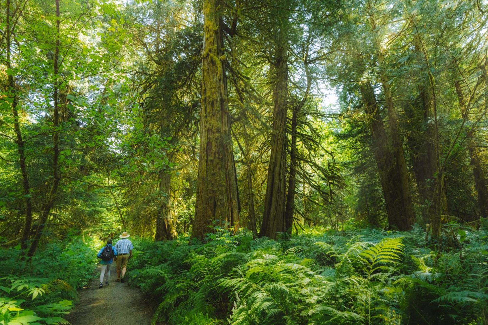 Bella Coola Grizzly Tours And Resort Hagensborg Екстериор снимка