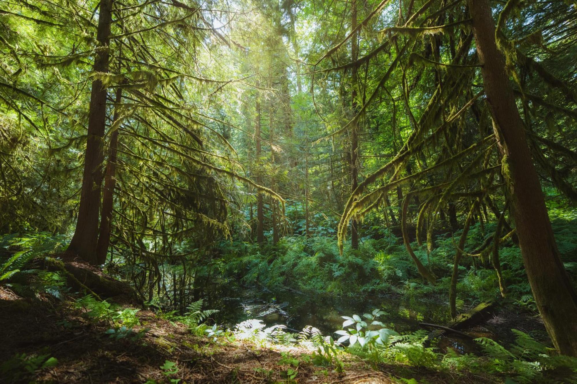 Bella Coola Grizzly Tours And Resort Hagensborg Екстериор снимка