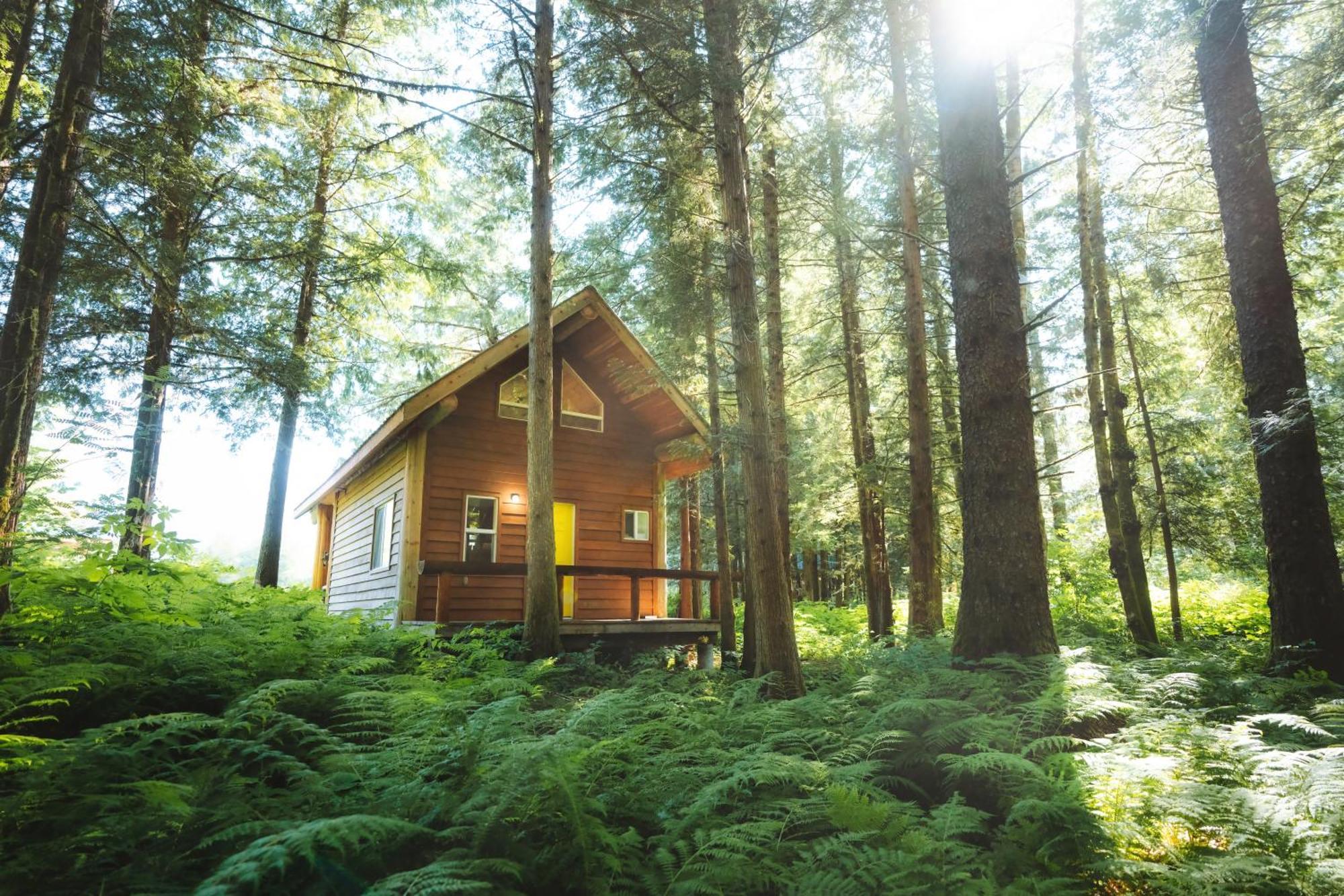 Bella Coola Grizzly Tours And Resort Hagensborg Екстериор снимка