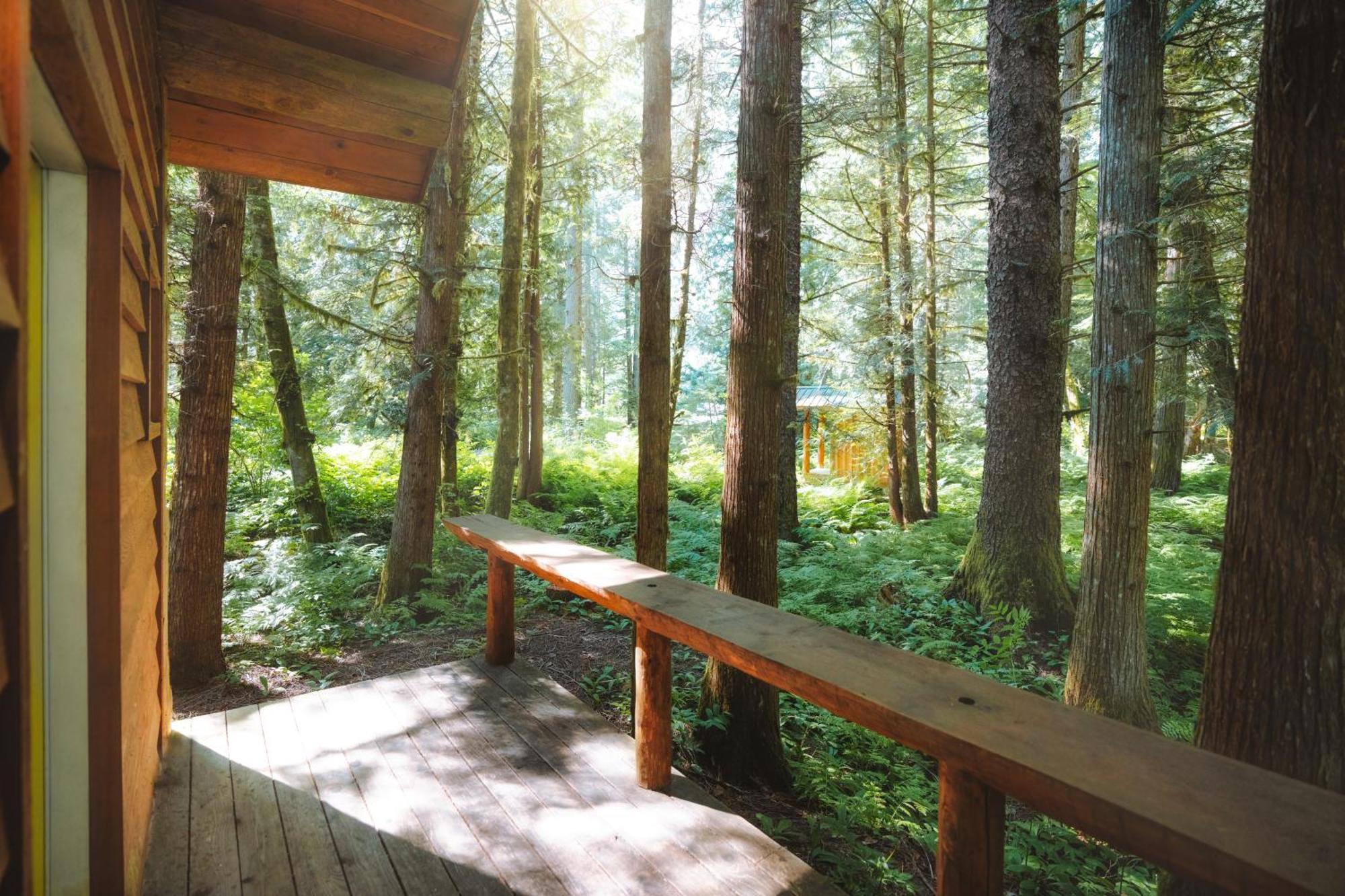 Bella Coola Grizzly Tours And Resort Hagensborg Екстериор снимка