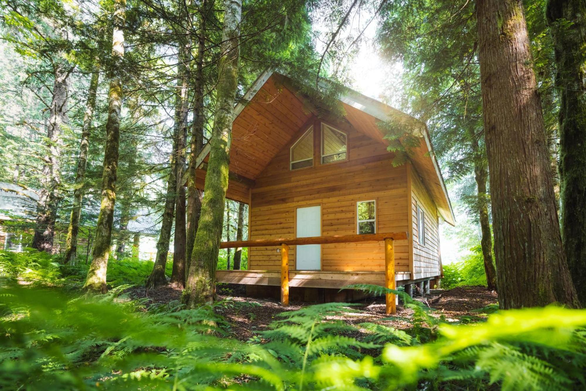 Bella Coola Grizzly Tours And Resort Hagensborg Екстериор снимка